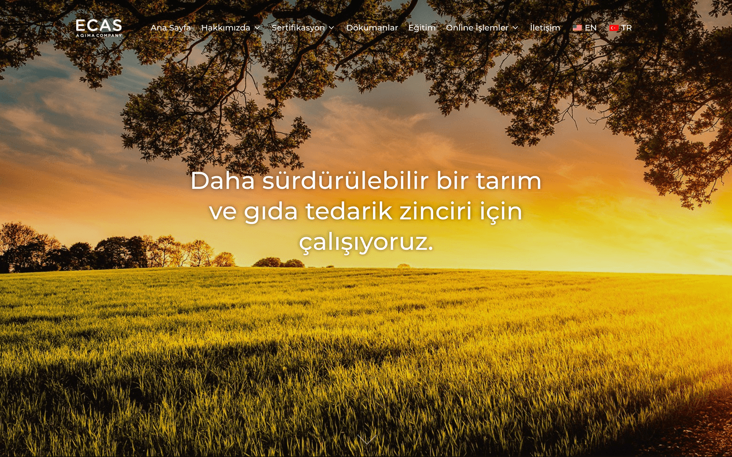 ECAS Sertifikasyon