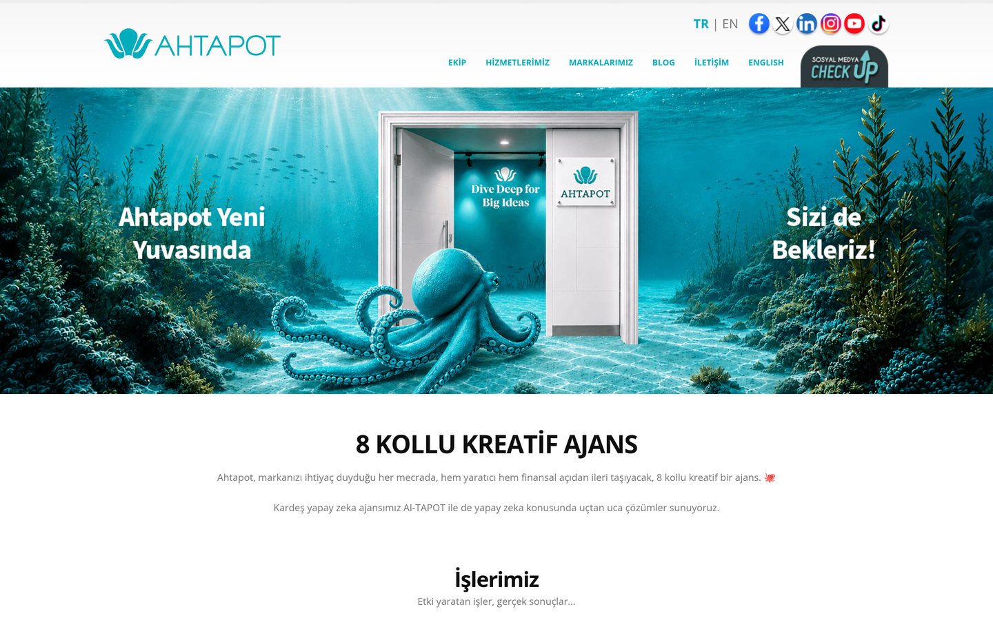 Ahtapot Sosyal Medya