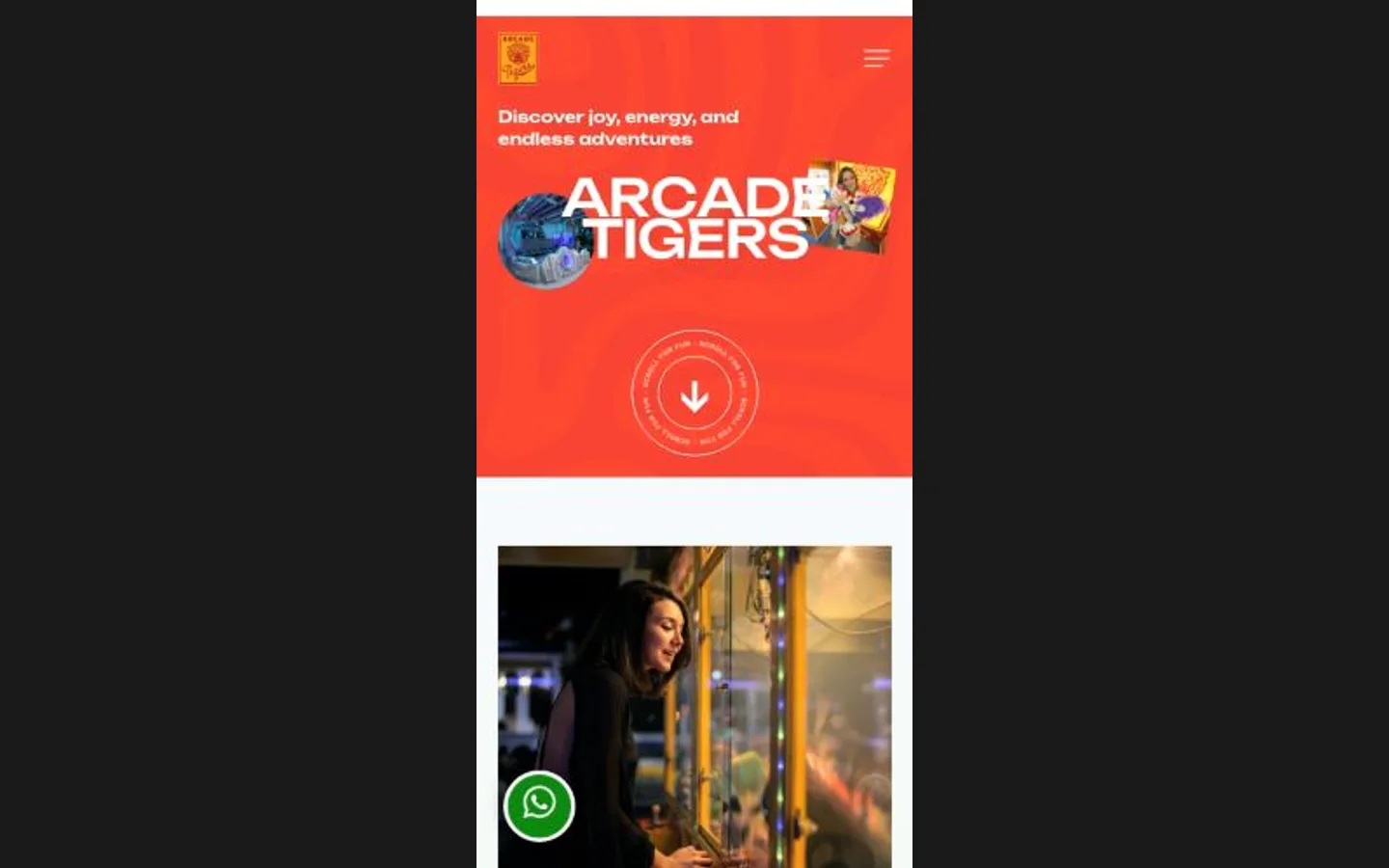 Arcade Tigers