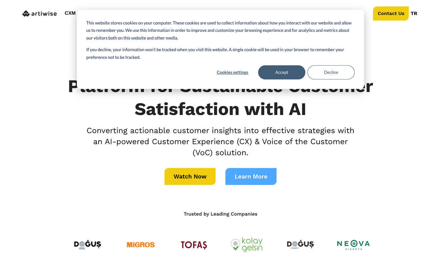 Artiwise Analytics