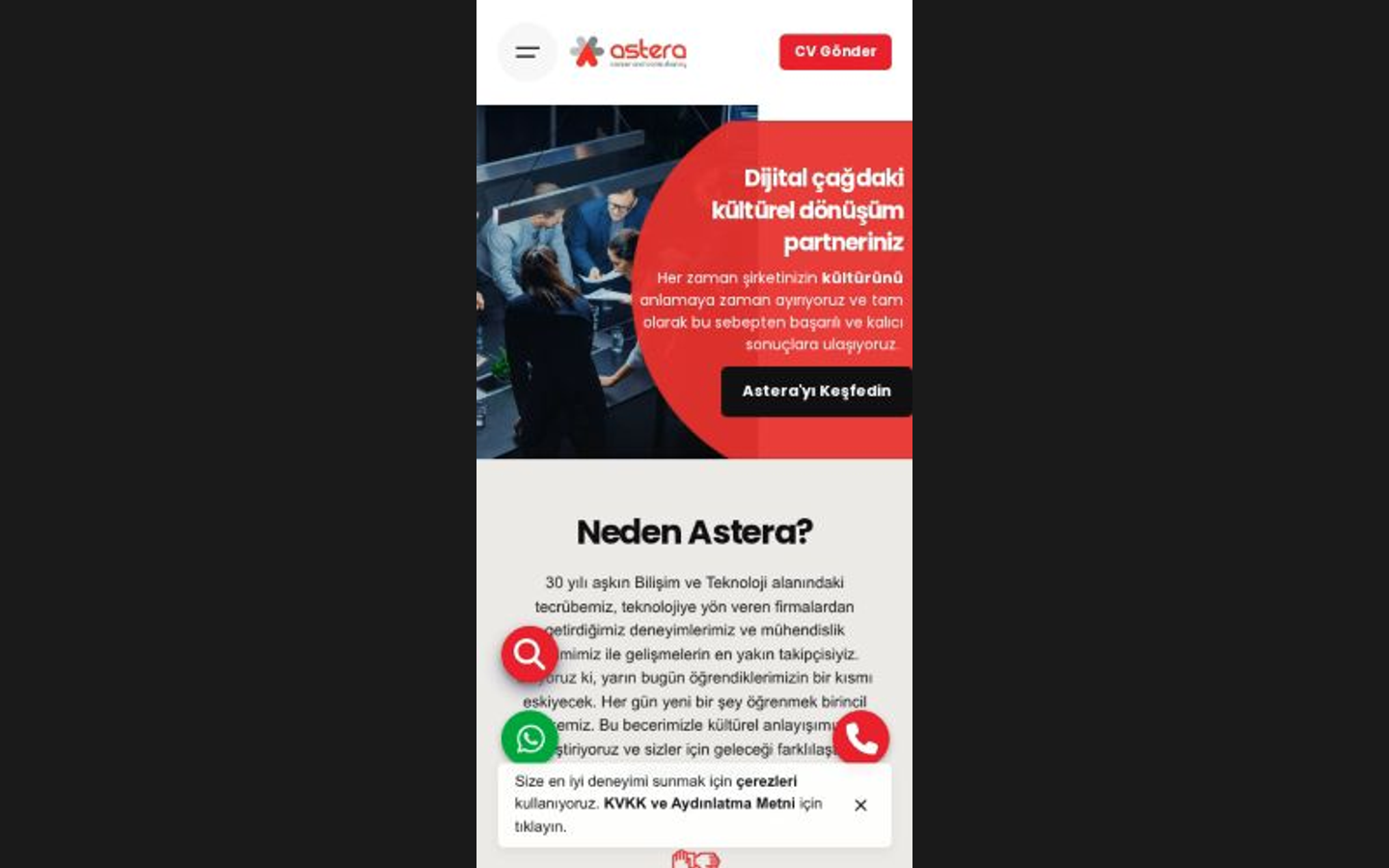 Astera Danışmanlık