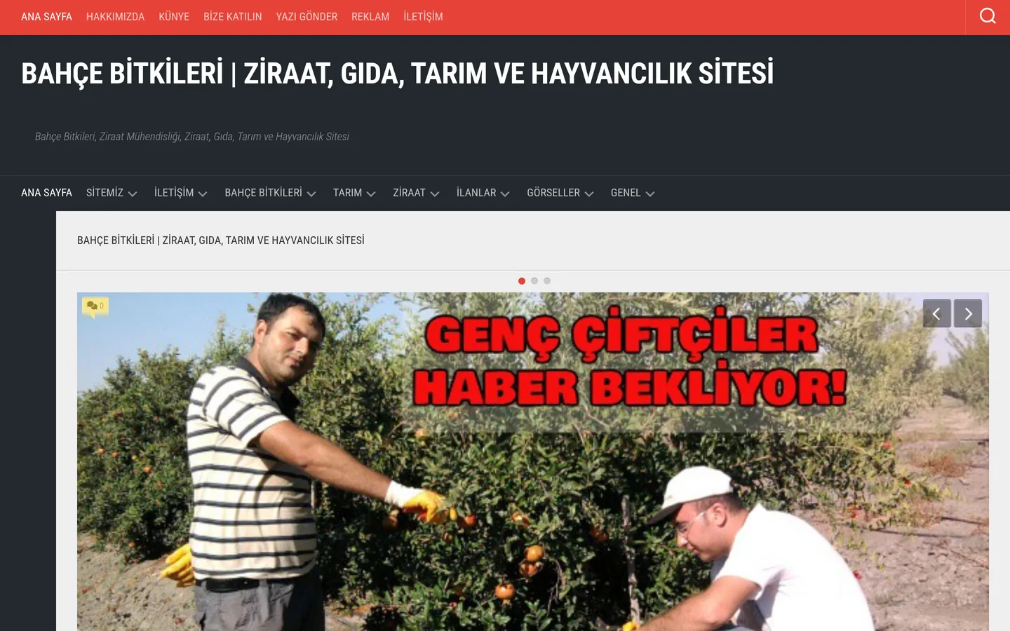 Bahçe Bitkileri
