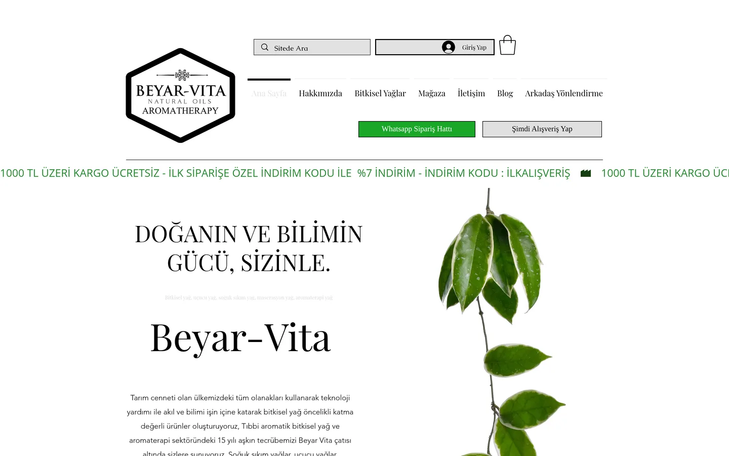 Beyarvita
