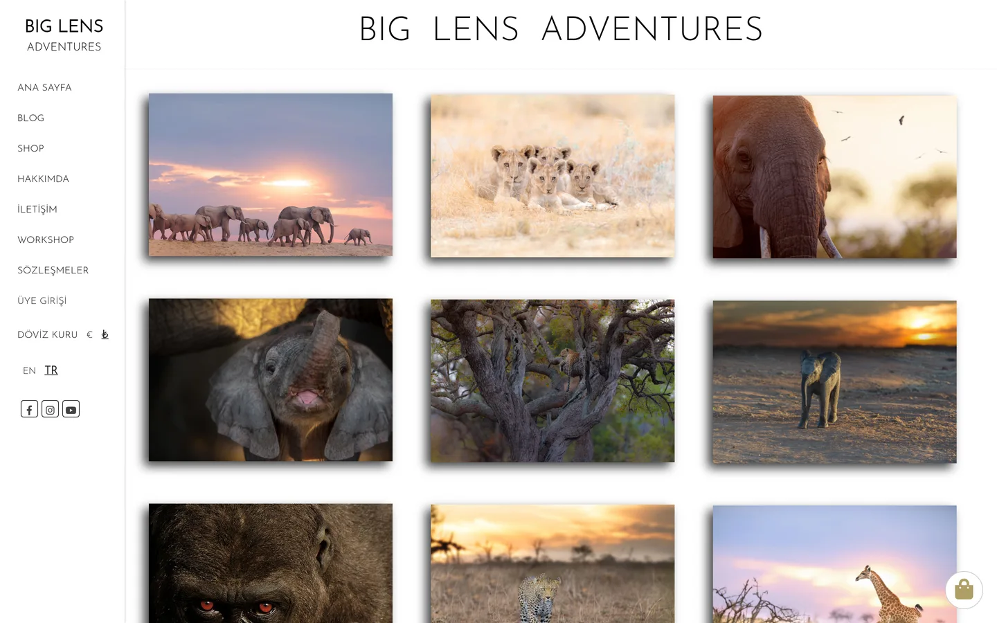 Big Lens Adventures
