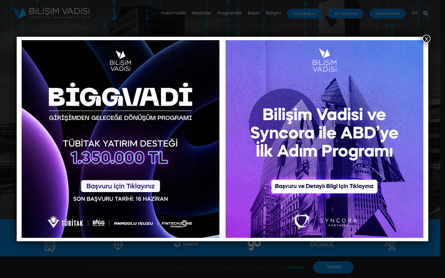 Bilişim Vadisi