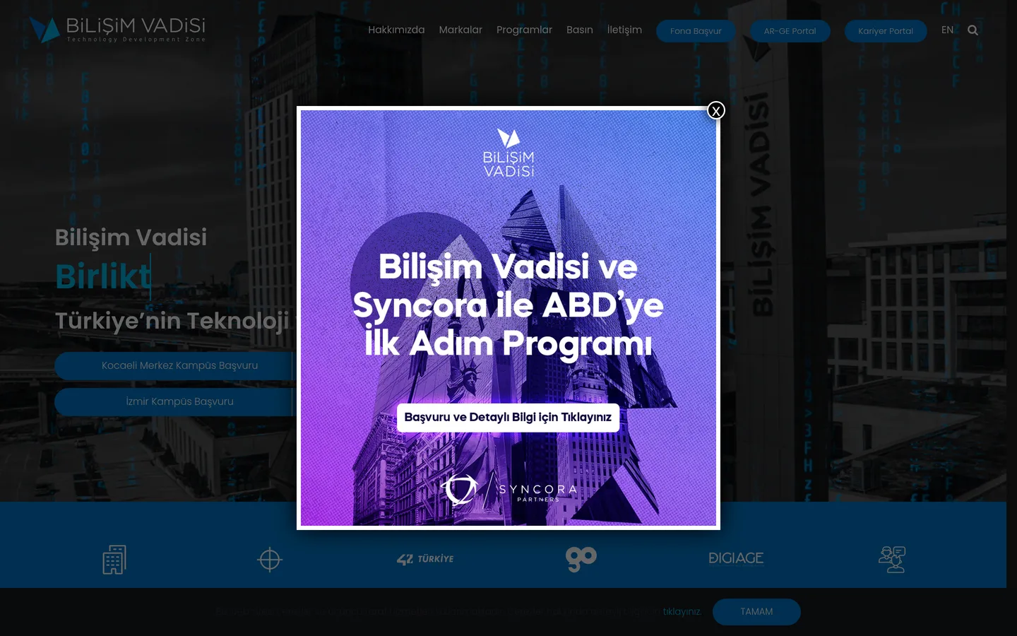 Bilişim Vadisi