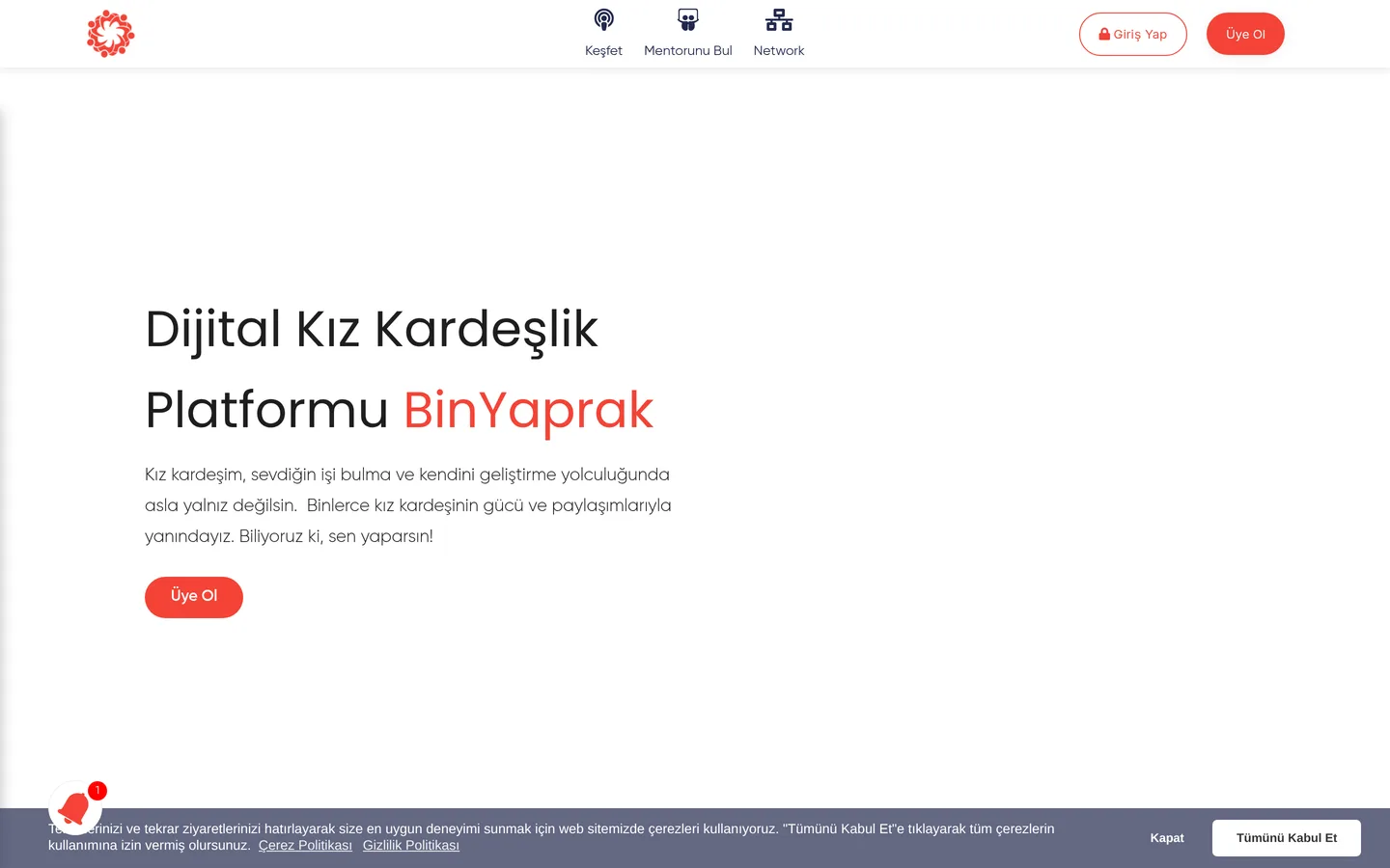 BinYaprak