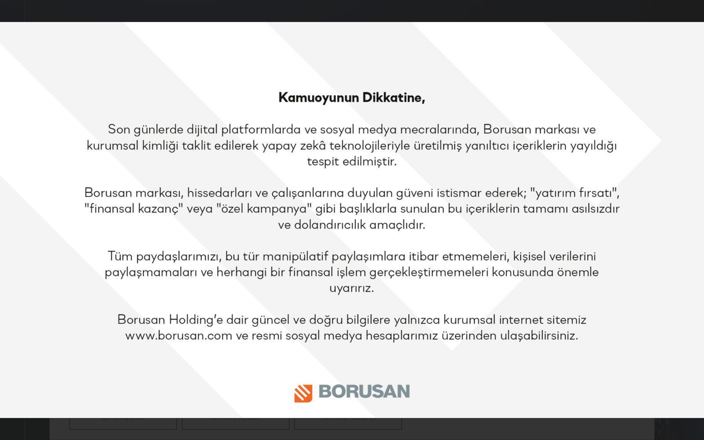 Borusan Holding