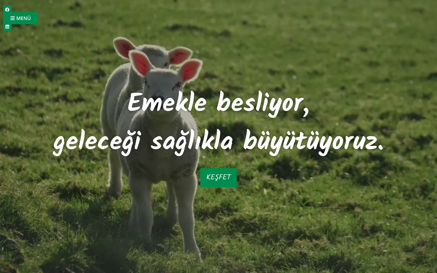 Çamlı Yem Besicilik