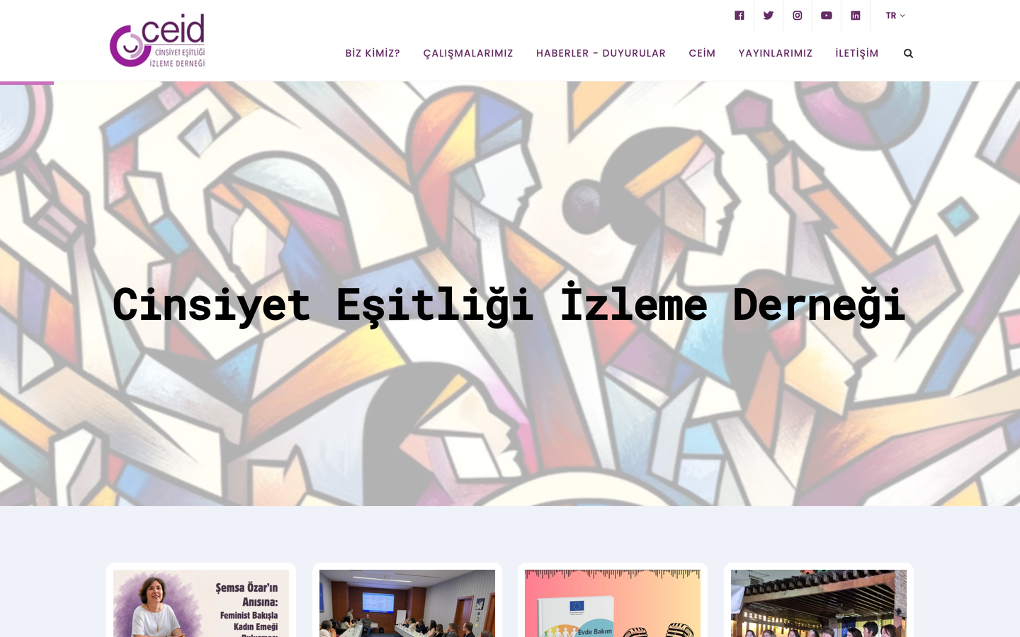 Cinsiyet Eşitliği İzleme Derneği (CEİD)