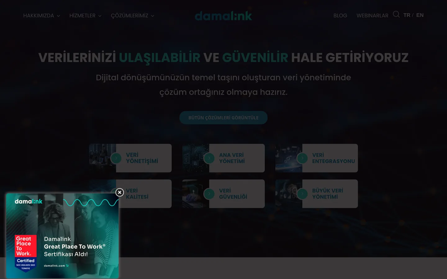 Damalink