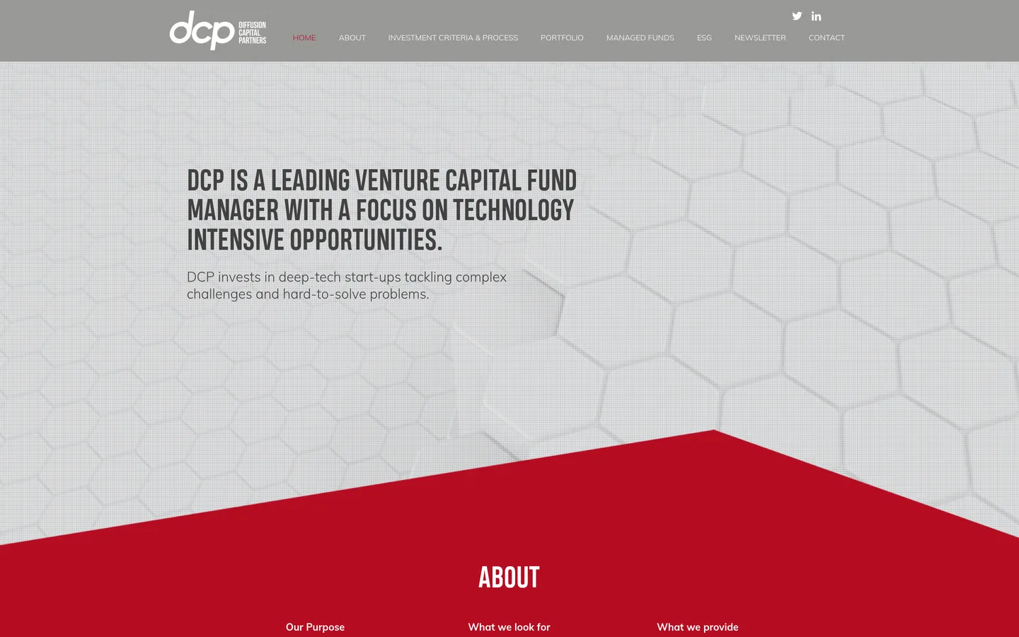 Diffusion Capital Partners (DCP)