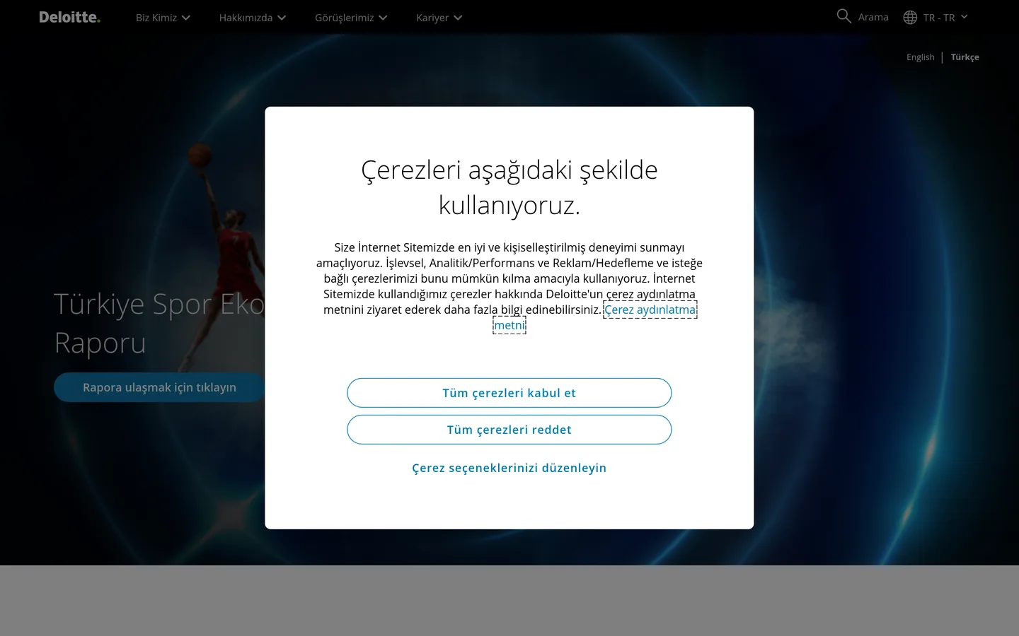Deloitte Türkiye