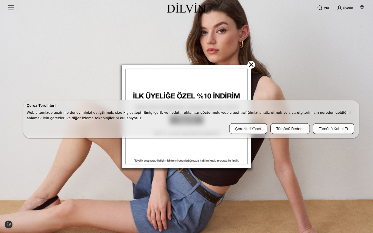 Dilvin