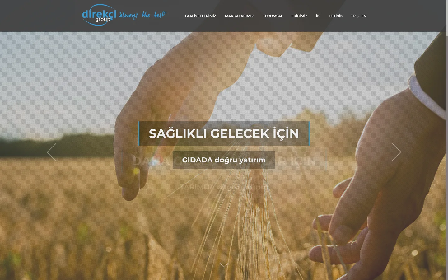 Direkçi Group (WE Greenhouse)
