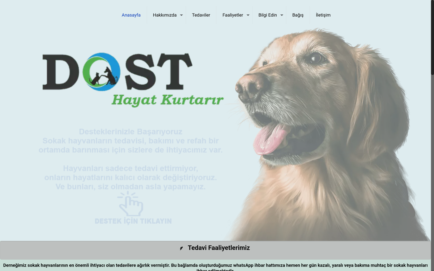 Dost Derneği