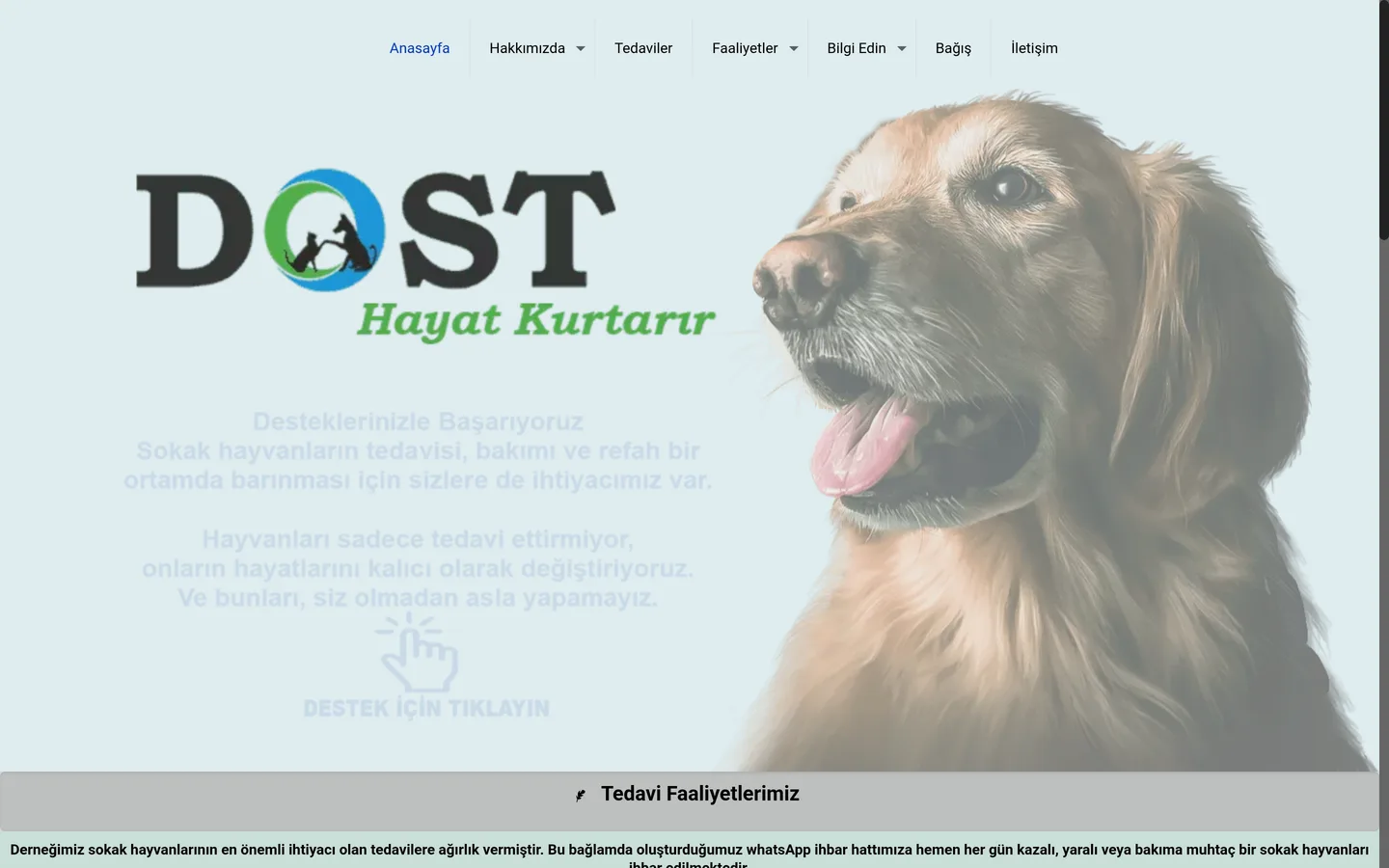 Dost Derneği