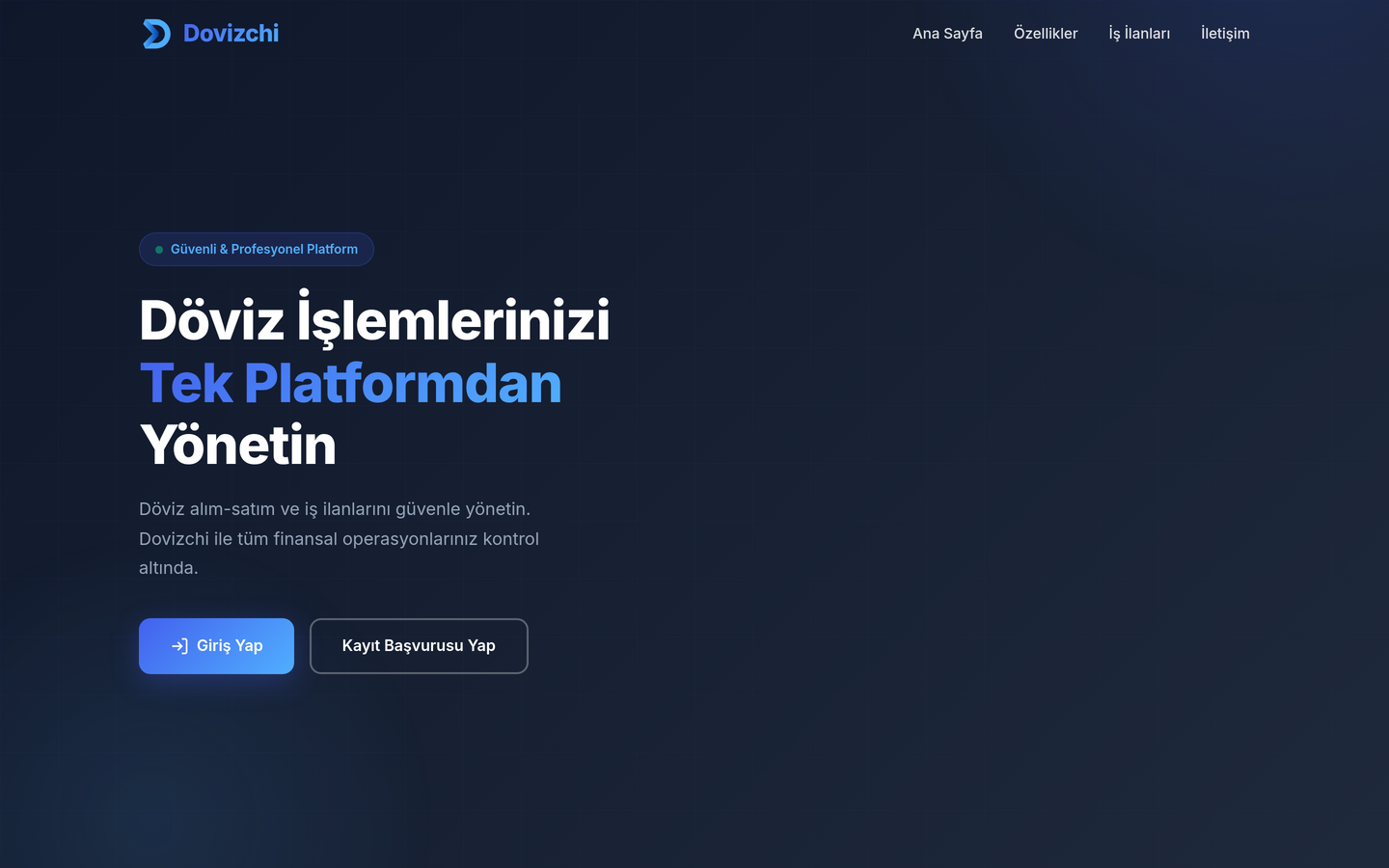 Dovizchi