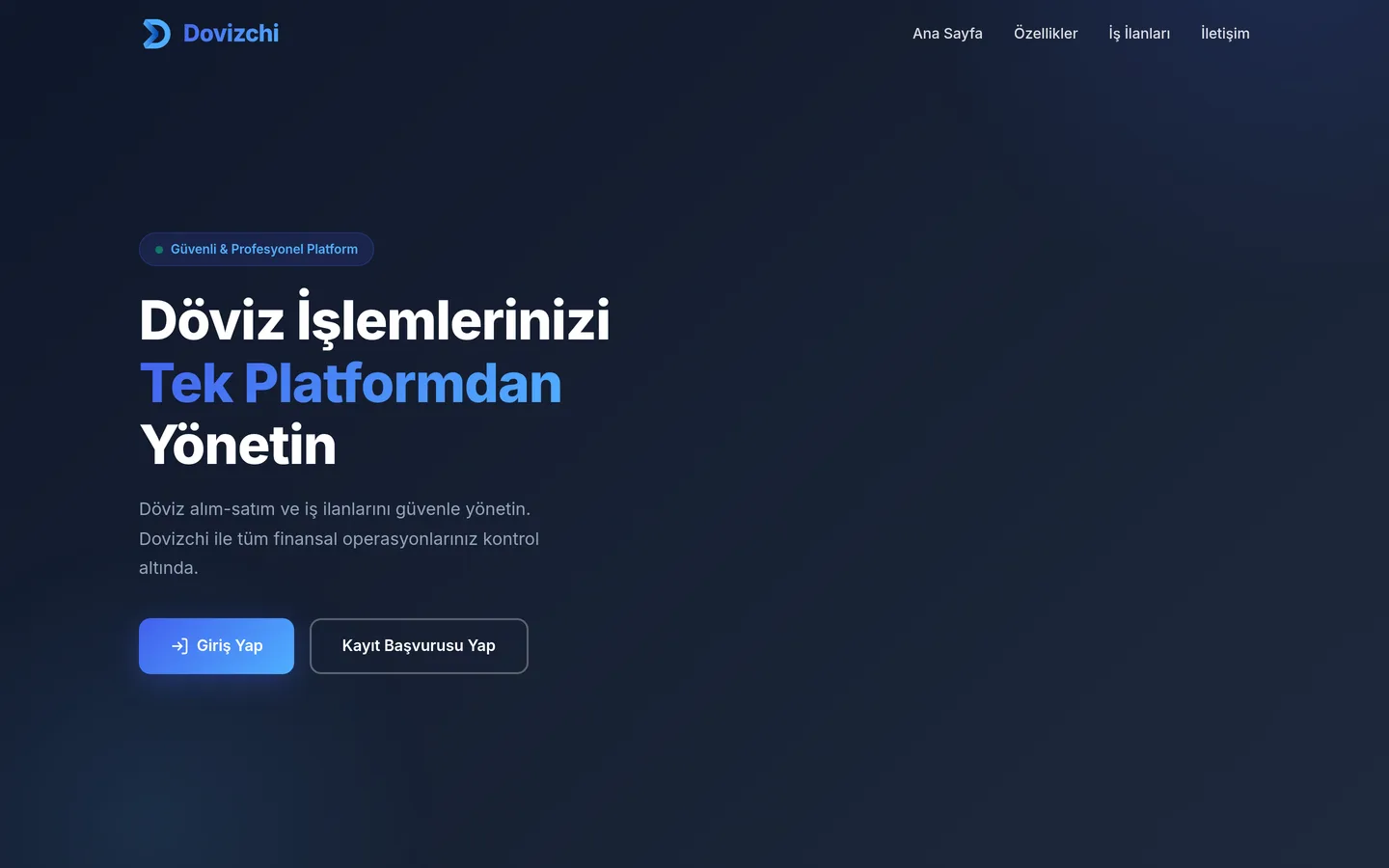 Dovizchi