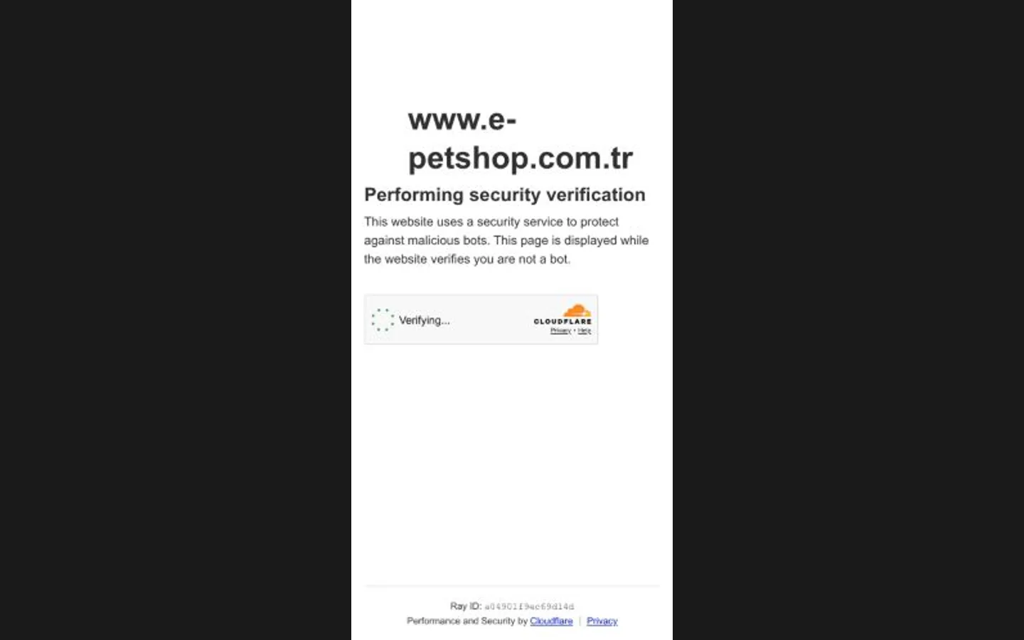 E-Petshop