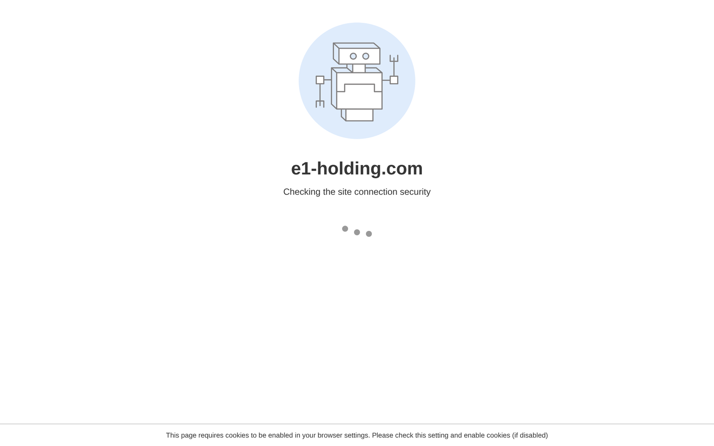 E1 Holding