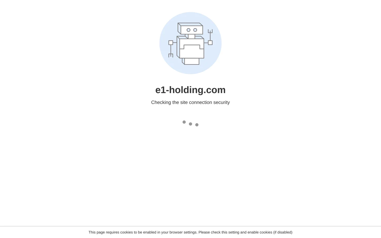 E1 Holding