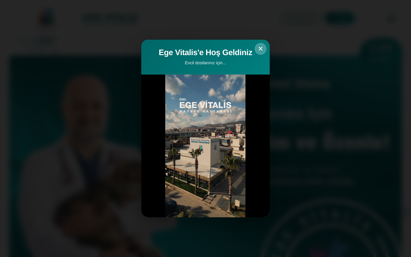 Ege Vitalis Hayvan Hastanesi