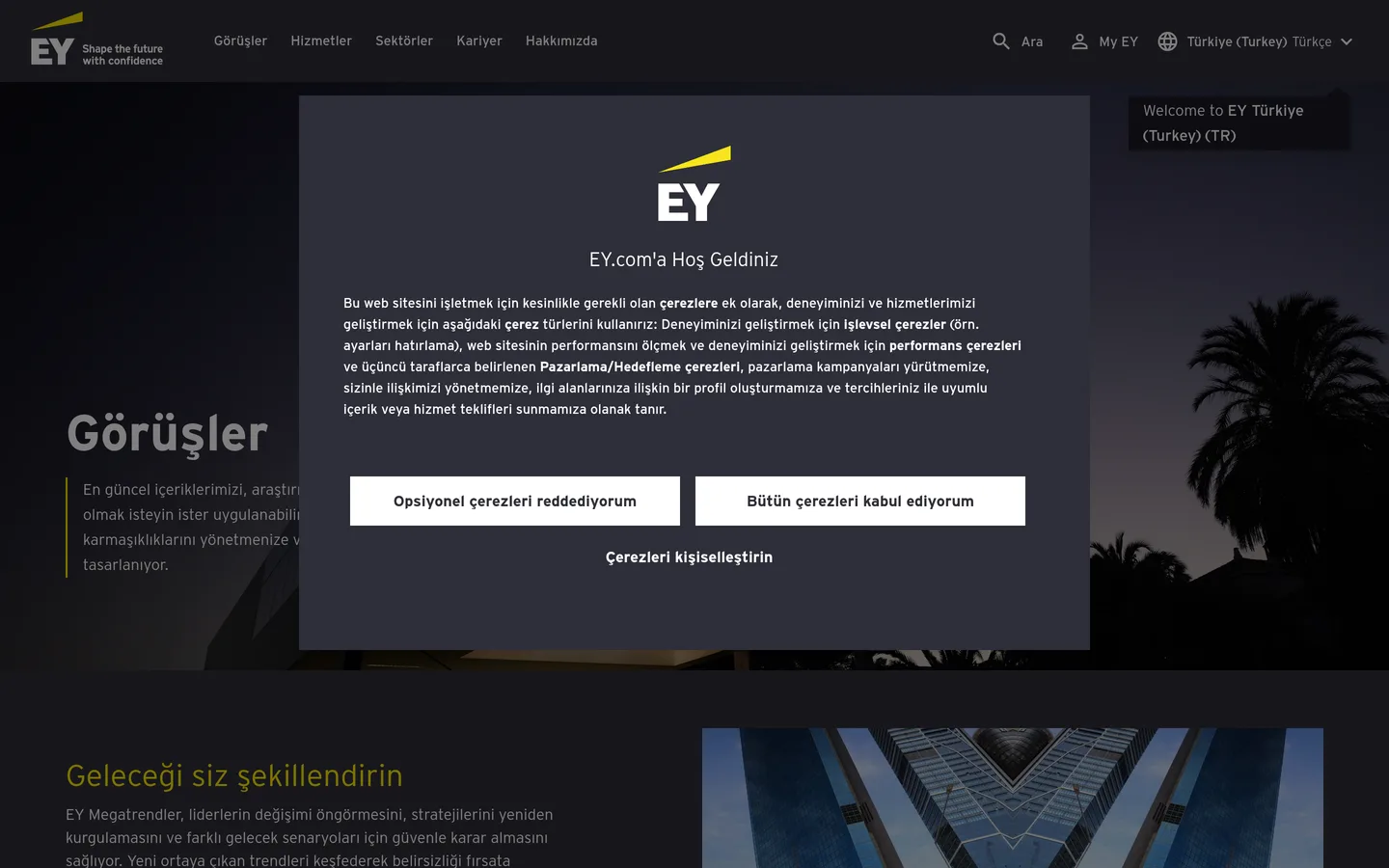 EY Türkiye Insights