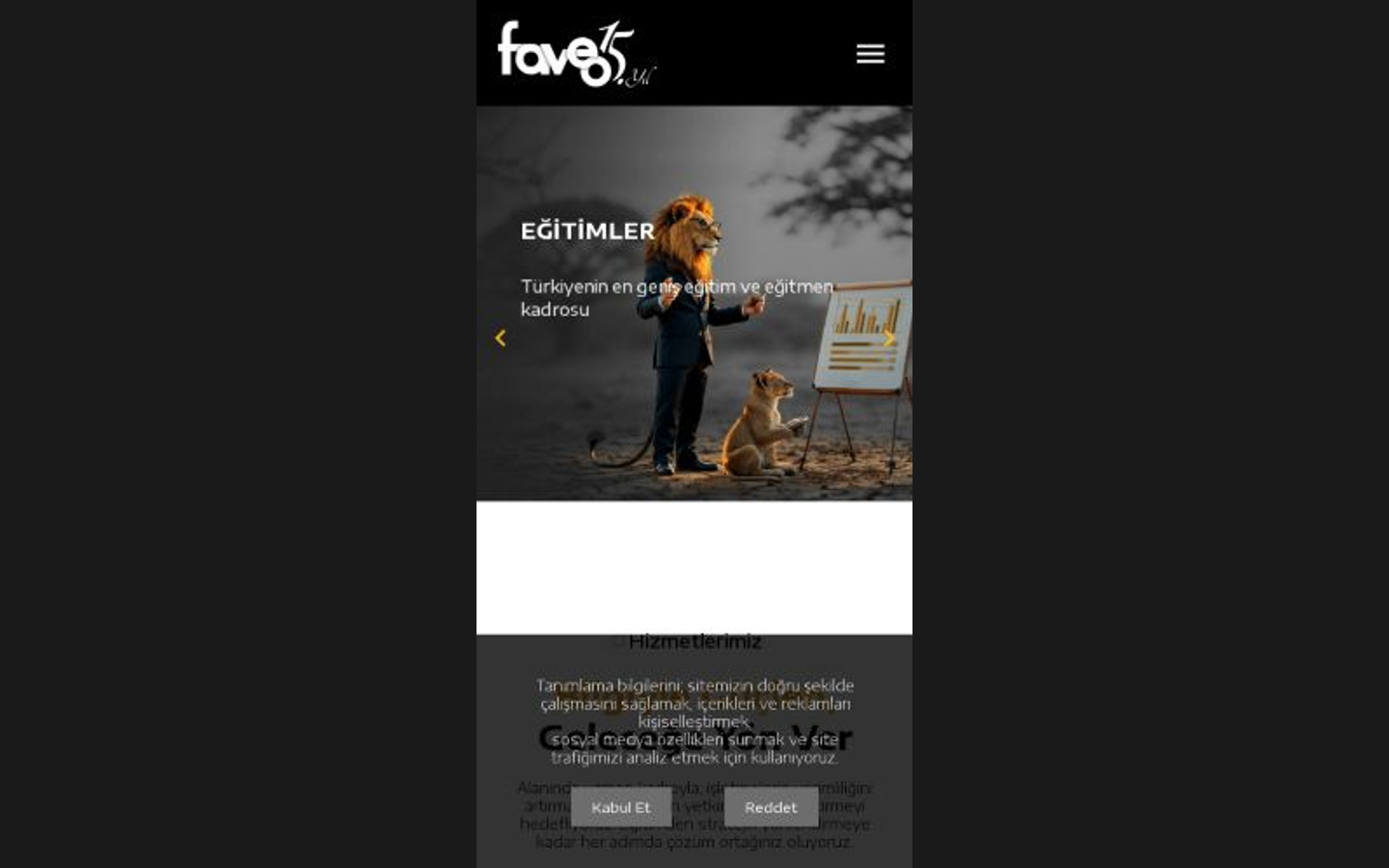 Faveo Danışmanlık