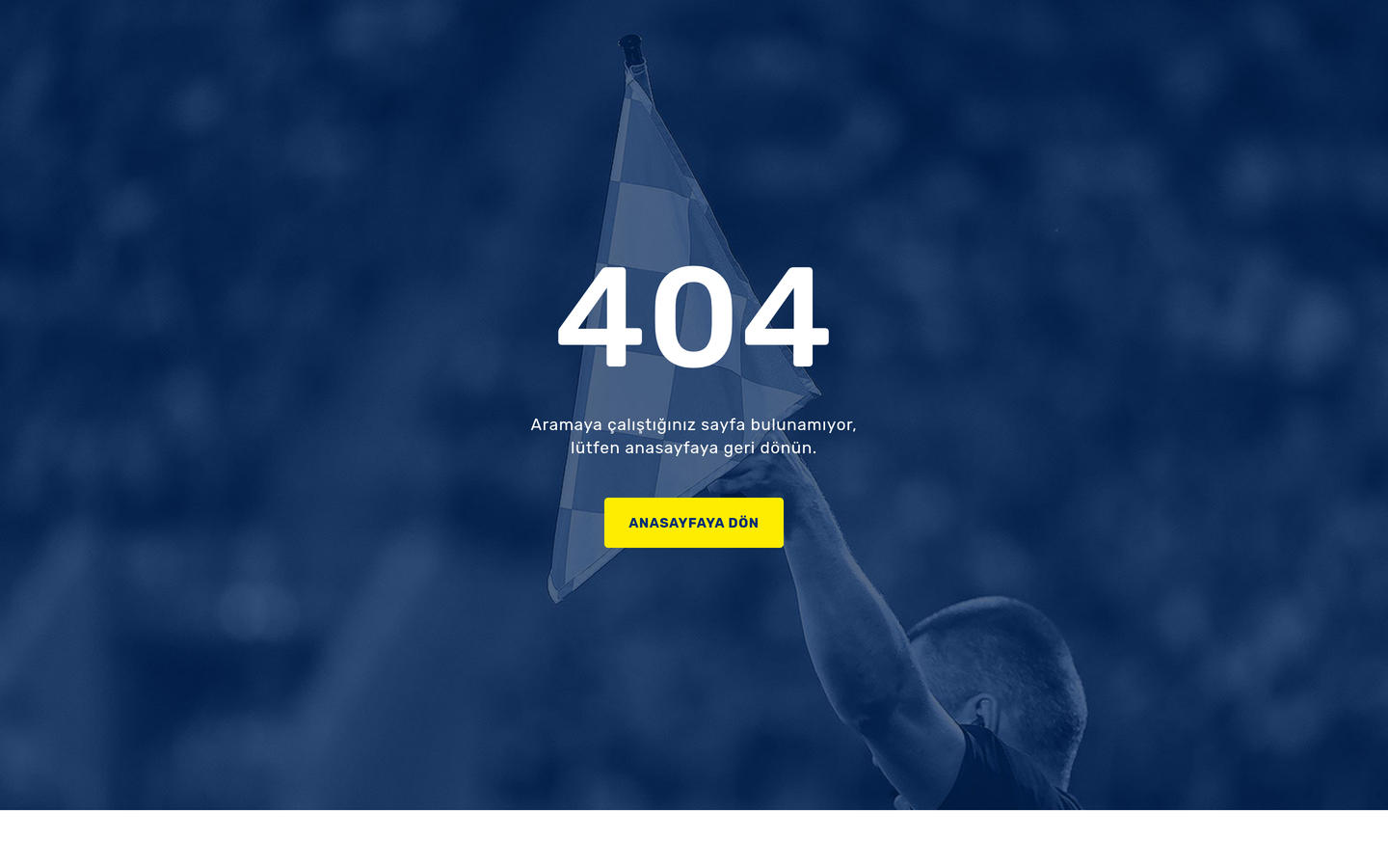 1907 Fenerbahçe Espor