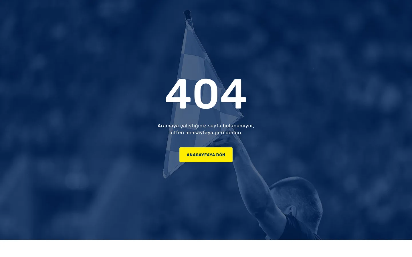1907 Fenerbahçe Espor