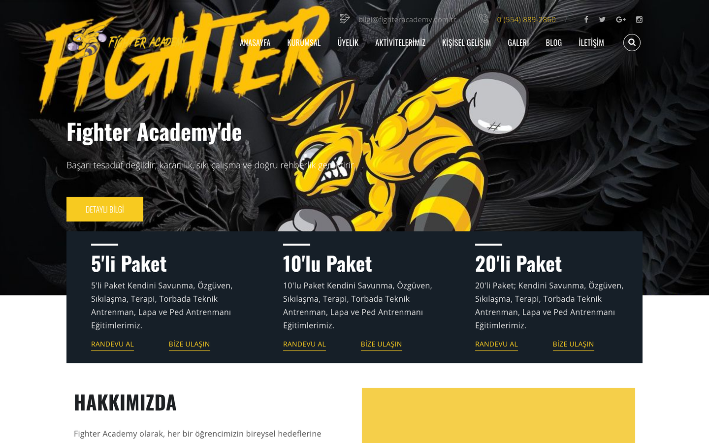 Fighter Academy