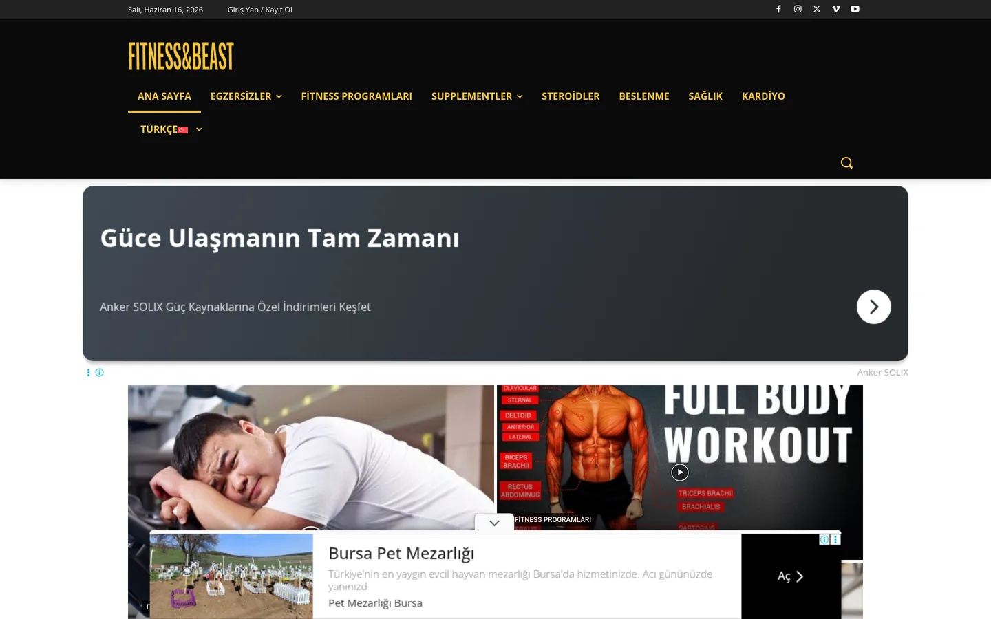 FitnessandBeast