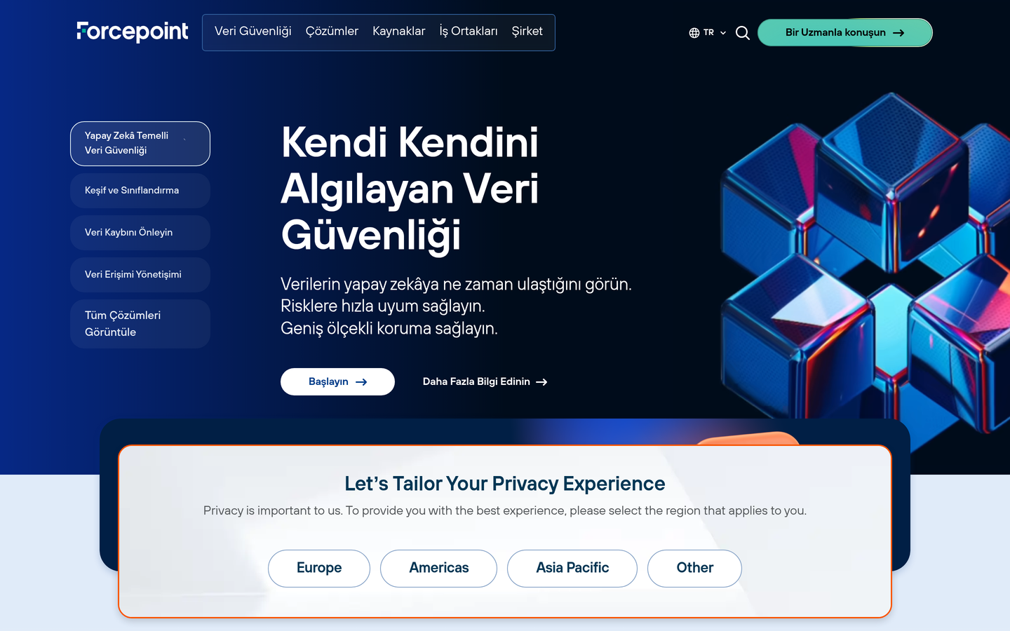 Forcepoint Türkiye