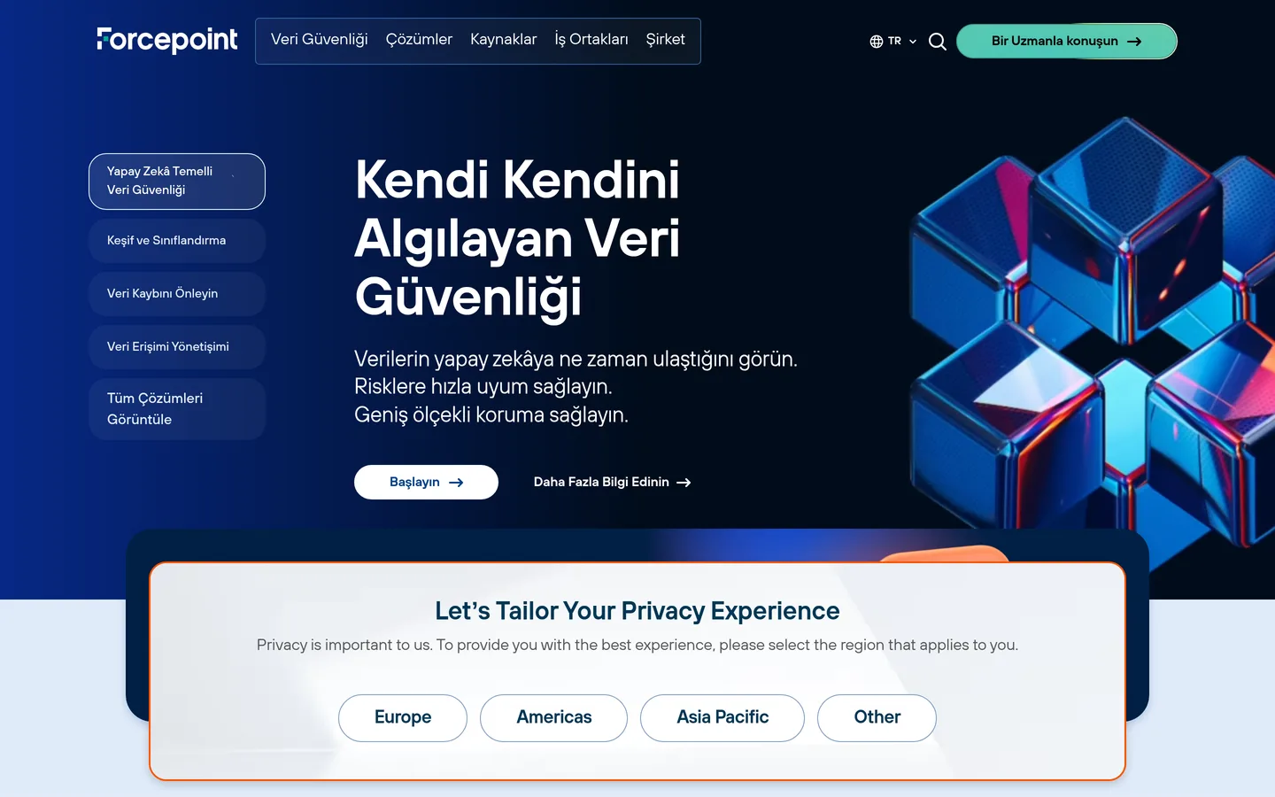 Forcepoint Türkiye