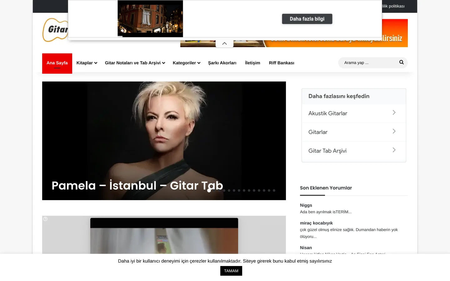 Gitaregitim.net