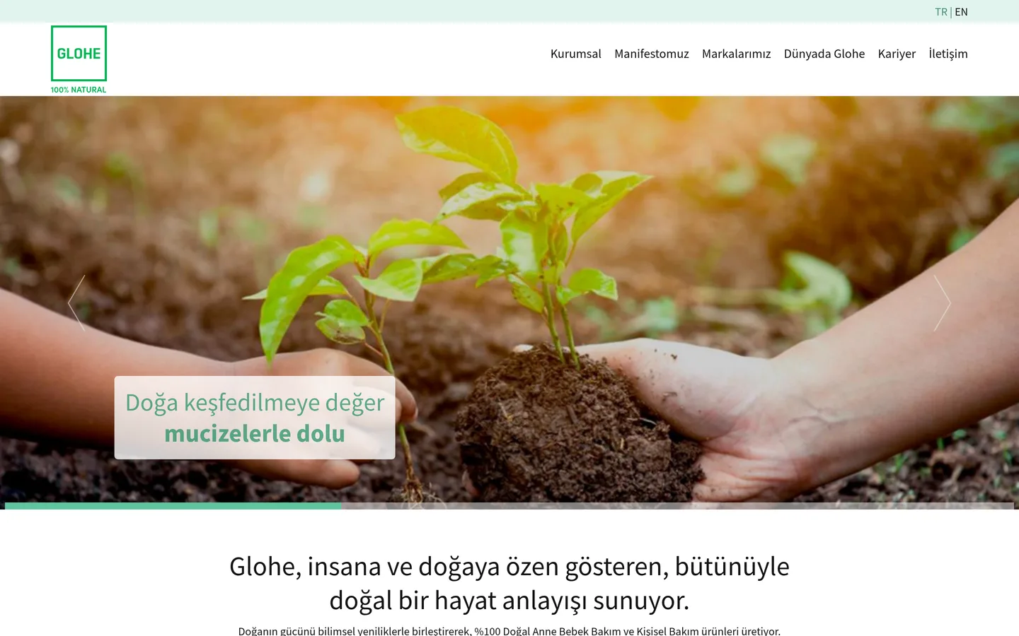 Incia (Glohe)