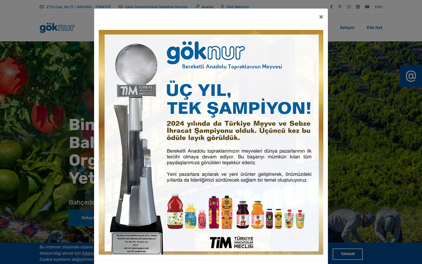 Göknur Gıda