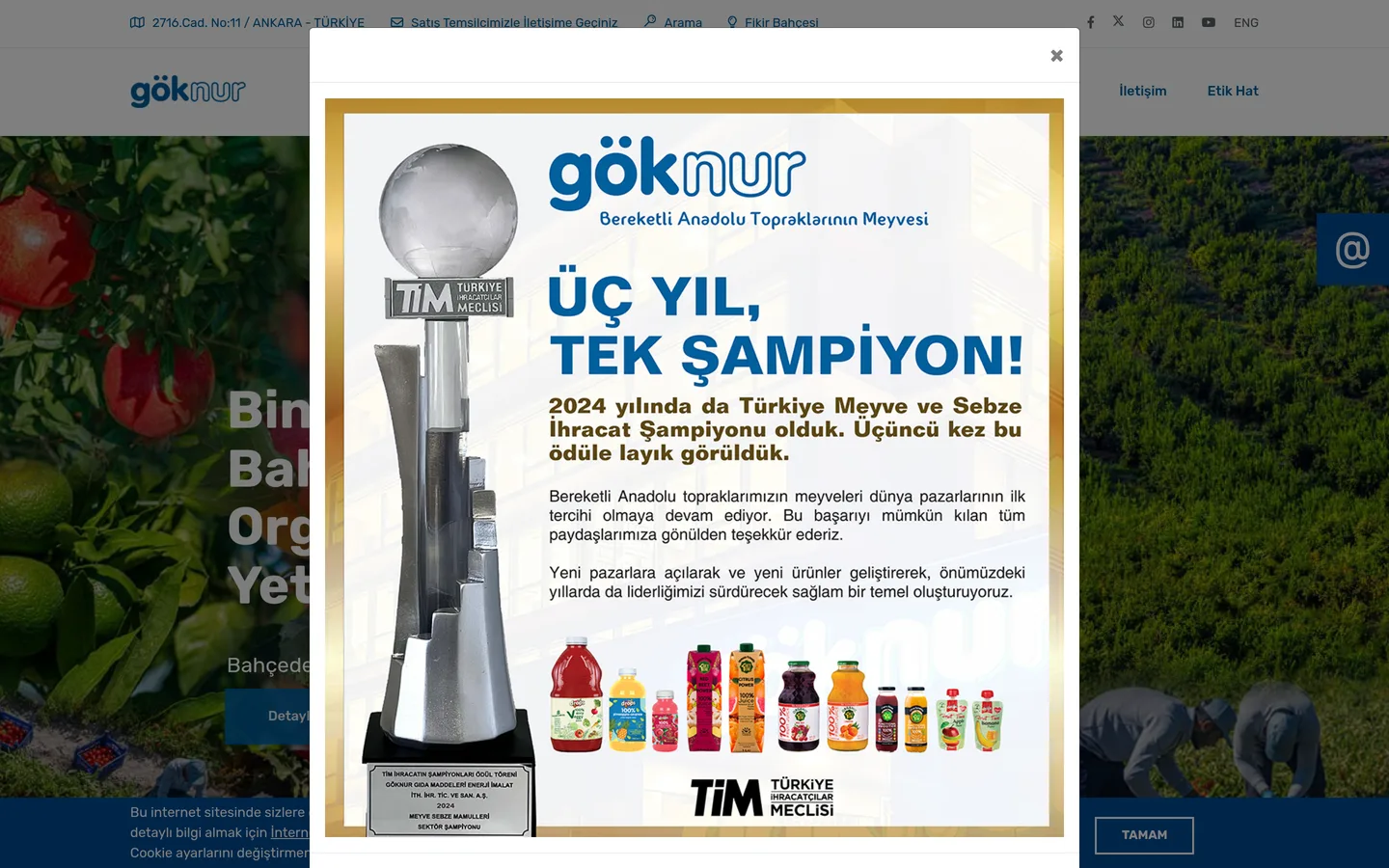 Göknur Gıda