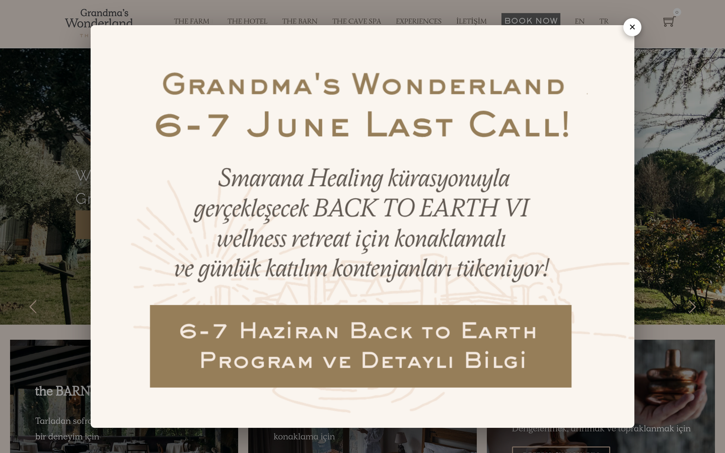 Grandma's Wonderland
