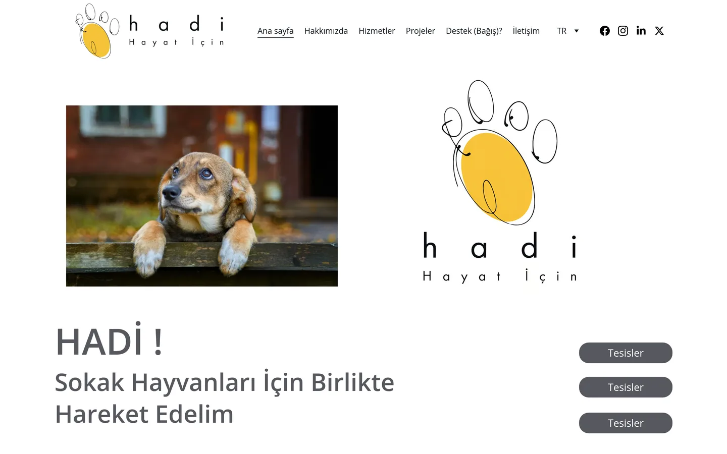 Hayatı İçin