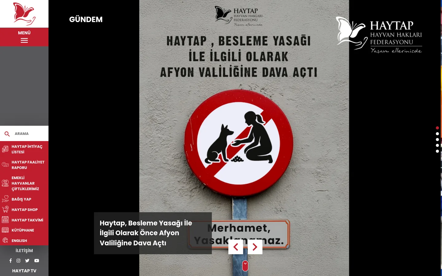 HAYTAP