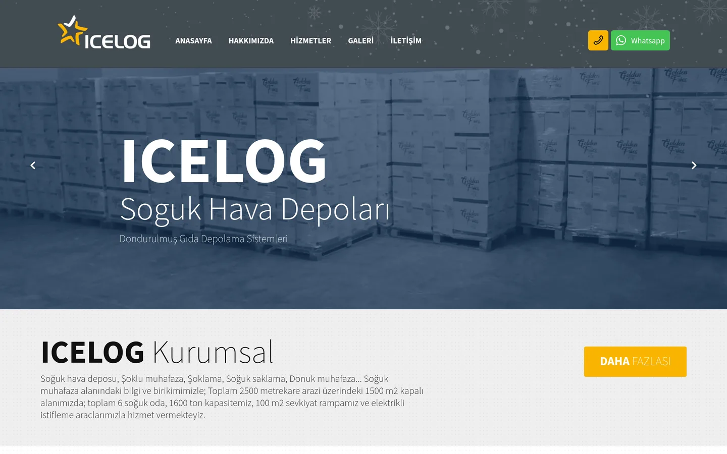 ICELOG