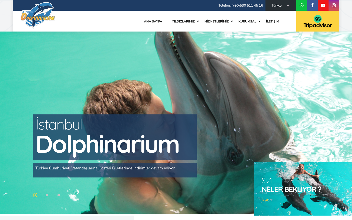 İstanbul Dolphinarium