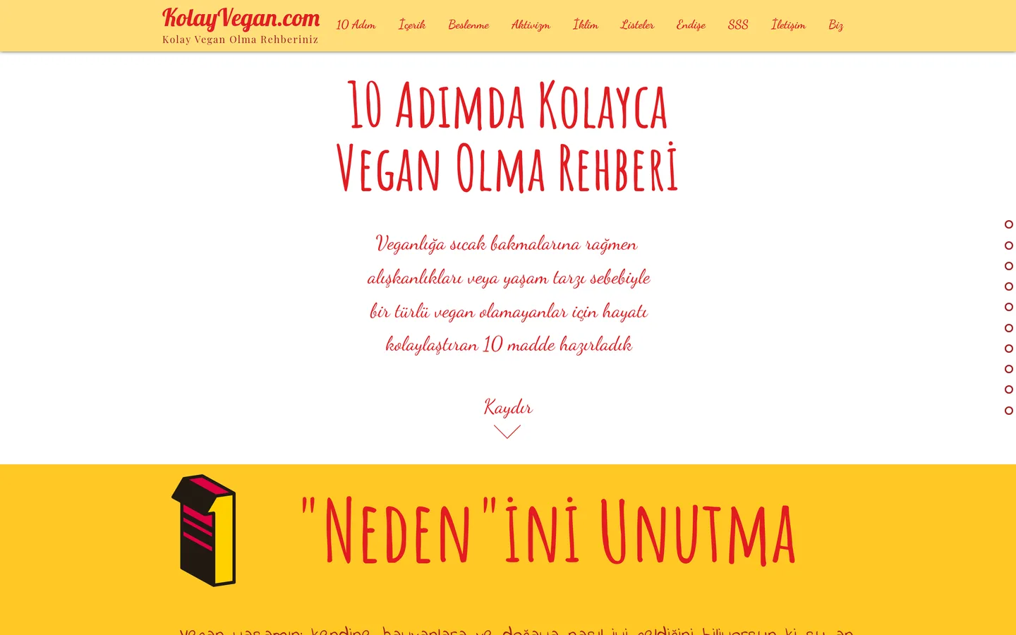 Kolay Vegan