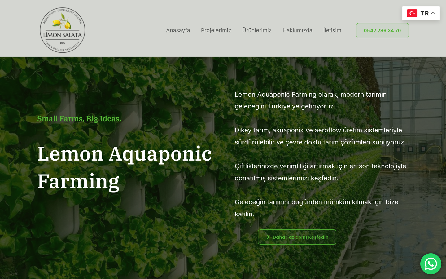 Lemon Aquaponic Farming