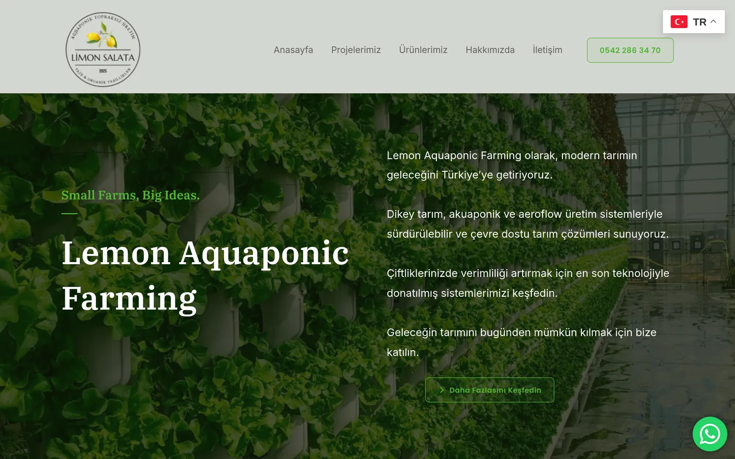 Lemon Aquaponic Farming