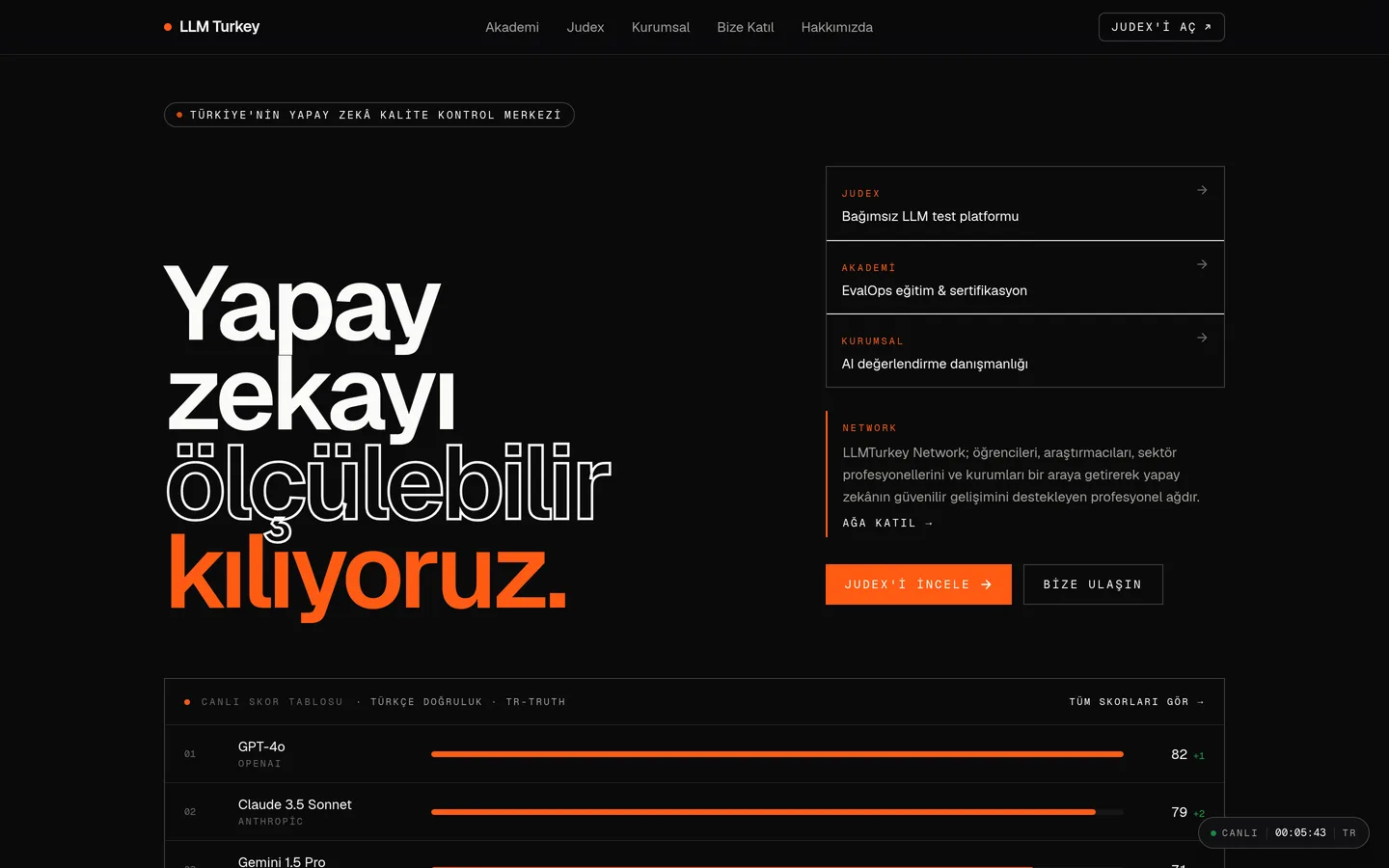 LLM Turkey