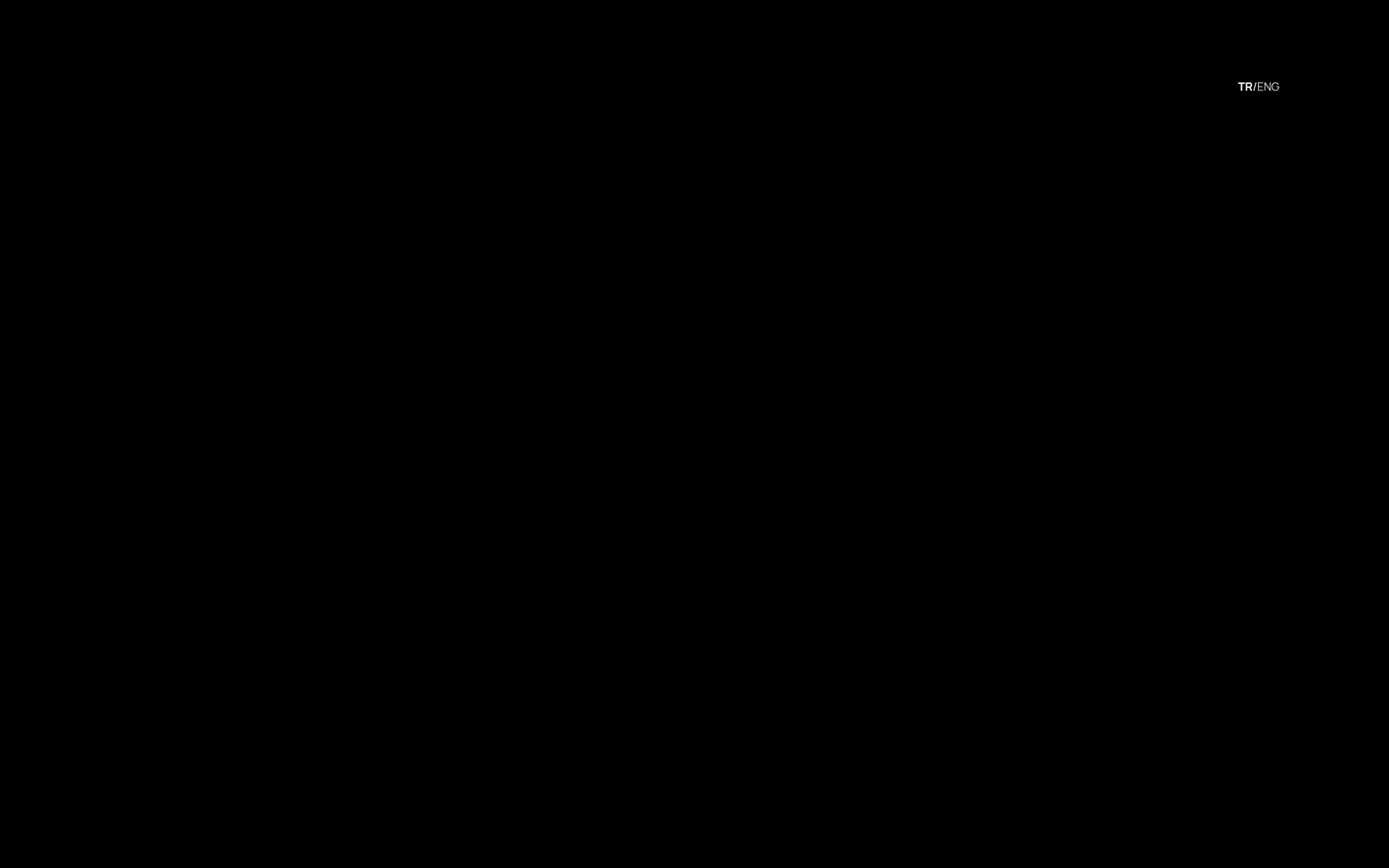 HAVELSAN MAIN