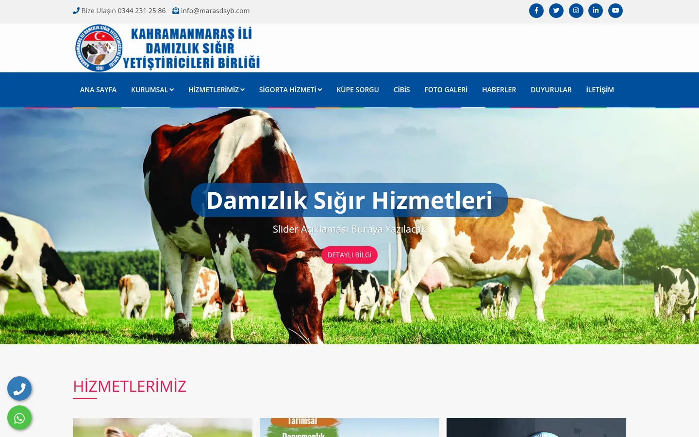 Maraş Damızlık Sığır Yetiştiricileri Birliği